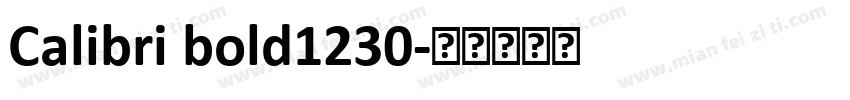 Calibri bold1230字体转换